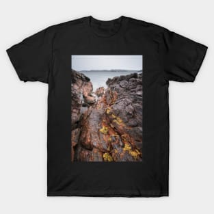 Firemore T-Shirt